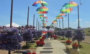 Eleita a cidade mais bonita do país, "Cidade das Flores" é destino imperdivel para Dia da Mulher