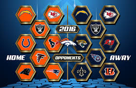 Resultado de imagen de 2016 carolina panthers vs denver broncos Cheerleaders