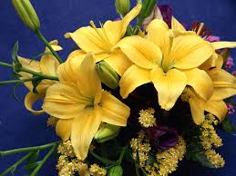 Image result for lilies