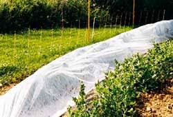 Bildergebnis für row cover