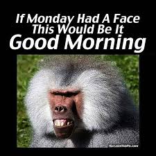 Image result for monday funny quotes