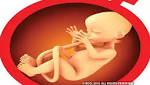 ratio birth dips large states,