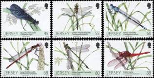 Image result for dragonfly stamp