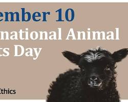 Image of International Animal Rights Day