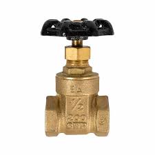 Gate Valve 1/2 in. x 1/2 in. NPT - Canac