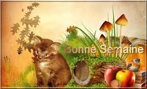 Résultat de recherche d'images pour "gifs bonne semaine"