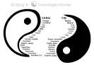 Test Yin Yang - : Etes-vous Yin ou Yang? - m