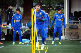 America Vs Tigres Amistoso