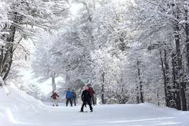 Ola Polar azota Argentina: Temperaturas bajo cero y Alerta por Nevadas - Imagen principal del artículo