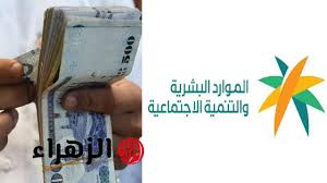 بوابة الزهراء - News update