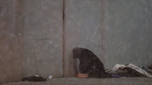 Louisville Council Approves Law Easing Path for Emergency Homeless Shelters