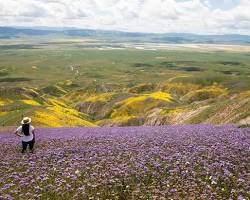 Image of Carrizo Plain National Monument