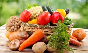 Image result for plant based diet