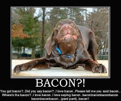 Image result for bacon meme