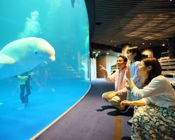 しまね海洋館アクアスの画像