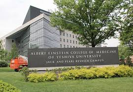 Image result for albert einstein college of medicine