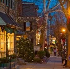 Image result for Chestnut hill pa