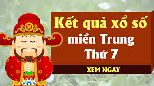 Pháp Luật và Xã hội - News update