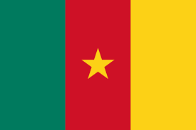 congo vs cameroon — trending on Google in United Arab Emirates