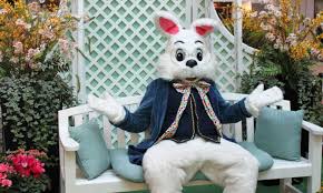 Image result for Easter Bunny