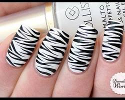 Image of Zebra Nails