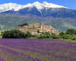 Provence, Fransa resmi