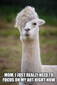 Image result for Animal Meme