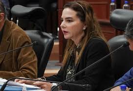 Consejeros volverán a pedir que INE regule y fiscalice procesos internos antes de precampañas