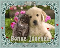 Résultat de recherche d'images pour "amitiés chats"