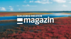 TV Spielfilm - News update