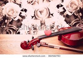 Résultat de recherche d'images pour "violin fabric"