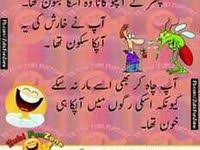 funny pictures with captions for kids in urdu