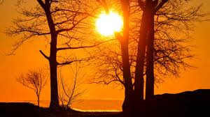 Vremea până în martie: ANM anunță patru săptămâni cu temperaturi neobișnuite