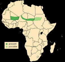 Résultat de recherche d'images pour "dama gazelles"