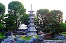 Kết quả hình ảnh cho Tra dao images