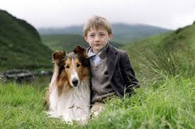 Pet Celebrities - Lassie (2005) - Page 5 - Lifestyle - PRIME7 - Yahoo7 via Relatably.com