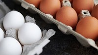 A dozen eggs in Pakistan's Lahore now cost 400 Pak rupees | World News