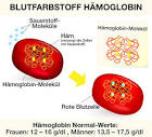 Blut hamoglobin