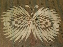 Crop Circle Art