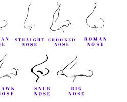 Image of different nose shapes