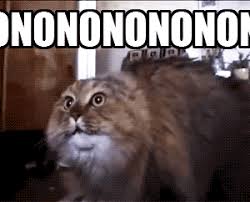 images?q=tbn:ANd9GcQBlv5EBR5j80yZdhy1PcyHf-gH7-l-wYchZBuu7UcSMtr1WmHp_Q