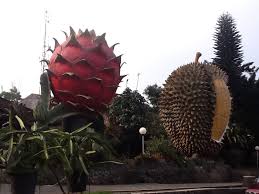 Image result for warso farm bogor