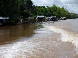 Image result for sông cửu long