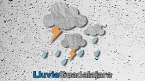 El Informador - News update