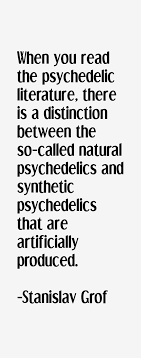 Best 17 memorable quotes by stanislav grof photo German via Relatably.com