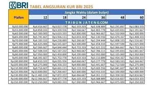 Tribun-timur.com - News update