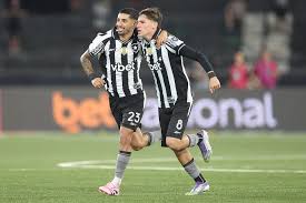 Meu Botafogo - - News update