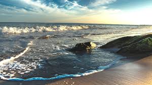 Our coast at risk: What a Virginia seabed mining project could do to our ocean