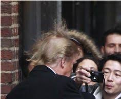 Résultat de recherche d'images pour "trump wind"