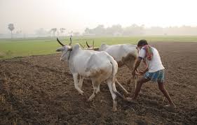 Image result for FARMERS